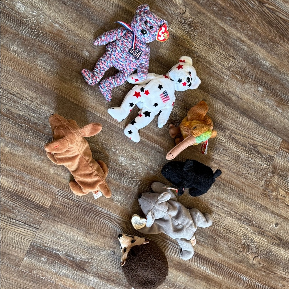 Colorful Beanie Baby Collection